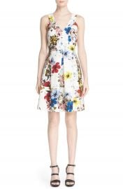 Erdem  Fabienne  Floral Print V-Neck Dress at Nordstrom