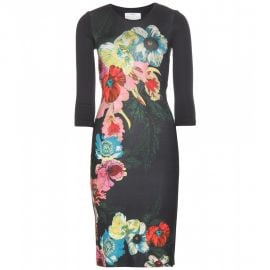 Erdem Allergra Dress at Mytheresa