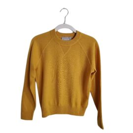 Everlane Sweaters Nwt Everlane 0 Cashmere Raglan Sweater In Goldenrod Poshmark at Poshmark