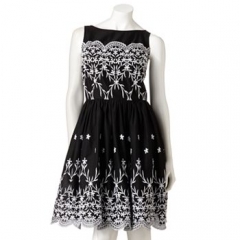 Expo embroidered dress at Kohls