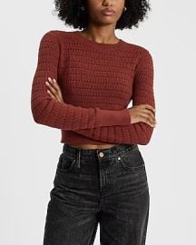 Express Open Stitch Crew Neck Cropped Sweater in Fired Brick at Express