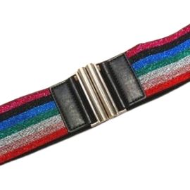 Express Rainbow Stretch Belt at Express