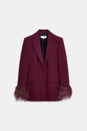 Feather Cuff Blazer at Zara