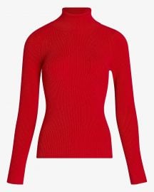 Fitted ribbed turtleneck at Express