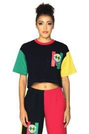 Flag Logo Color Block Crop T-Shirt by Cross Colours at Cross Colours