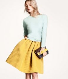 Flared Skirt at H&M