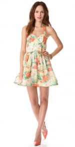 Fleur bustier dress by Alice and Olivia at Shopbop