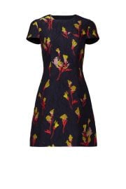 Floral Field Dress by Jason Wu at Rent The Runway