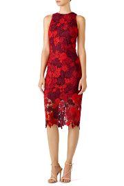 Floral Lace Sheath Dress by Alexia Admor at Rent The Runway