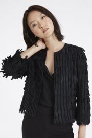 Fringe Embroidery Jacket at Milly