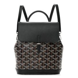 GOYARD Goyardine Calfskin Mini Alpin Backpack Black 1327574 FASHIONPHILE at Fashionphile