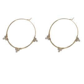 Gemmed Hoop Earrings by Peggy Li at Peggy Li