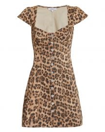 Gigi Leopard Mini Dress at Intermix