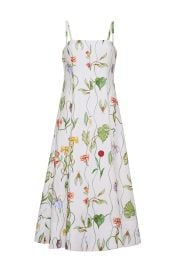 Gimlet Dress at Cara Cara