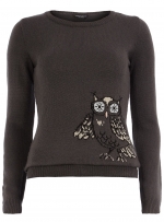 Grey owl sweater from Dorothy Perkins at Dorothy Perkins