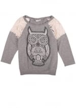 Grey owl sweatshirt with lace shoulders at Delias