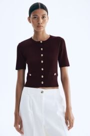 H M Short Sleeved Cardigan in Burgundy at H&M