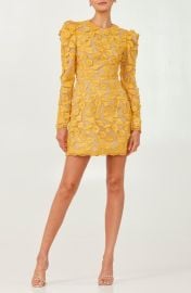 HELSI Christy Appliqué Long Sleeve Minidress at Nordstrom