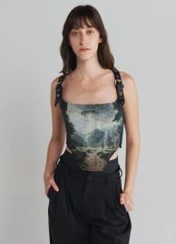 Harness Tapestry Bustier Top in Alien Multi Print at Monse