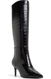 Heathher Pointed Toe Knee High Boot at Nordstrom