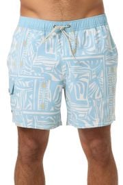 Hermosa Retro Swim Trunks at Nordstrom