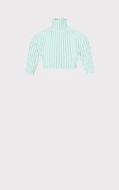 Herve Leger Shadow Stripe Mock Neck Crop Top at Herve Leger