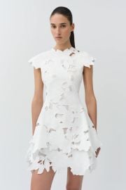 Holloway Embroidered Mini Dress SIMKHAI at Simkhai