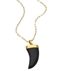 Horn Pendant Necklace at Max & Chloe