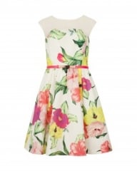 Iberis Floral Dress at Ted Baker