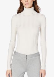 Inez Long Sleeve Turtleneck at Derek Lam