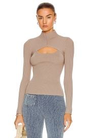 JONATHAN SIMKHAI Miliana Turtleneck Top in Otter  FWRD at Forward