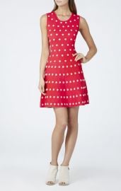 Jo Jacquard Aline Dress at Bcbg