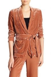 Joie Anasophia Velvet Jacket at Nordstrom Rack