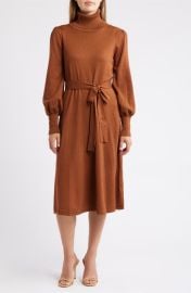 Julia Jordan Turtleneck Long Sleeve Midi Dress at Nordstrom