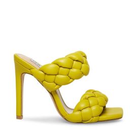 KENLEY CITRON ndash at Steve Madden