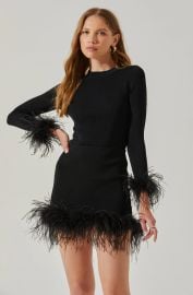 Keily Feather Trim Sweater ASTR the Label at ASTR The Label