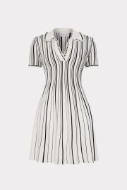 Kenna Knit Mini Dress at Milly
