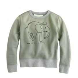 Kids crewcuts for David Sheldrick Wildlife Trust elephant sweatshirt at J. Crew