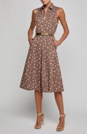 Kylo Polka Dot Belted Shirtdress at Nordstrom