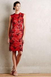 Lace Garden Pencil Dress at Anthropologie