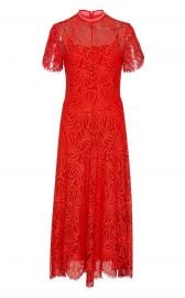 Lace Midi Dress by Proenza Schouler at Moda Operandi