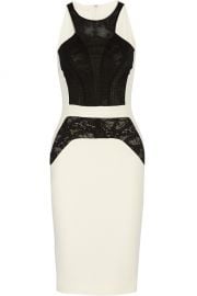 Lace Panel Dress by Antonio Berardi at The Outnet