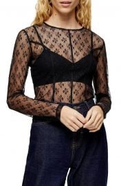 Lace Seam Sheer Top at Nordstrom