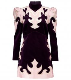 Ladybeetle Mystic velvet minidress at Mytheresa