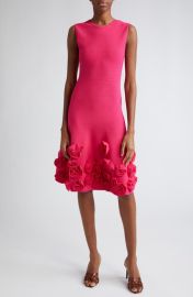 Lela Rose Penelope Floral AppliquKnit Dress at Nordstrom