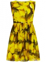 Lemon print dress at Dorothy Perkins