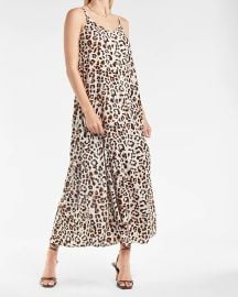 Leopard Print V-Neck Maxi Dress at Express