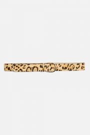 Leopard print belt at Topshop