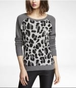 Leopard print sweater at Express