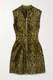 Leopard-print velvet mini dress at Net a Porter